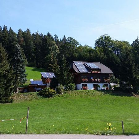 Gaestehaus Maria Brinkhus Apartment Schonach im Schwarzwald Ngoại thất bức ảnh