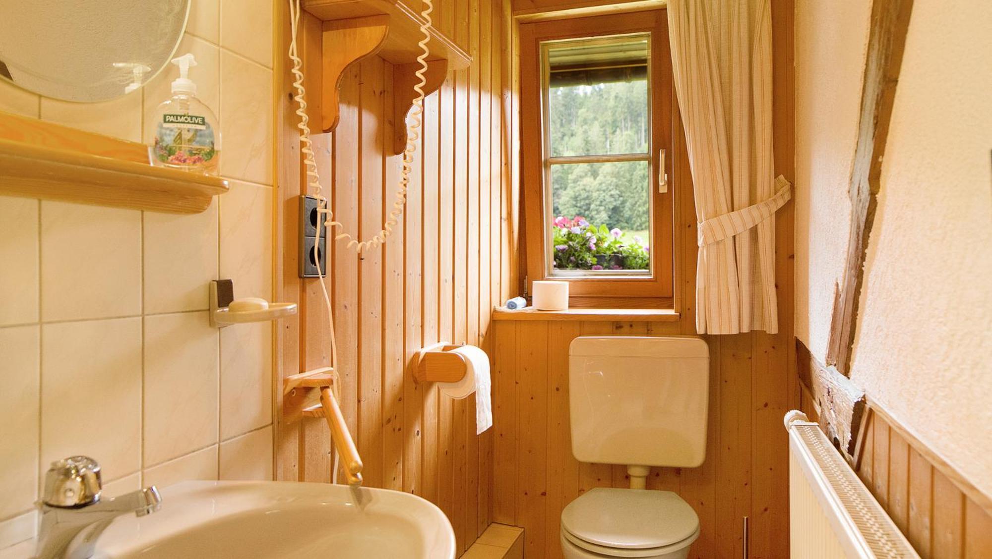 Gaestehaus Maria Brinkhus Schonach im Schwarzwald Ngoại thất bức ảnh